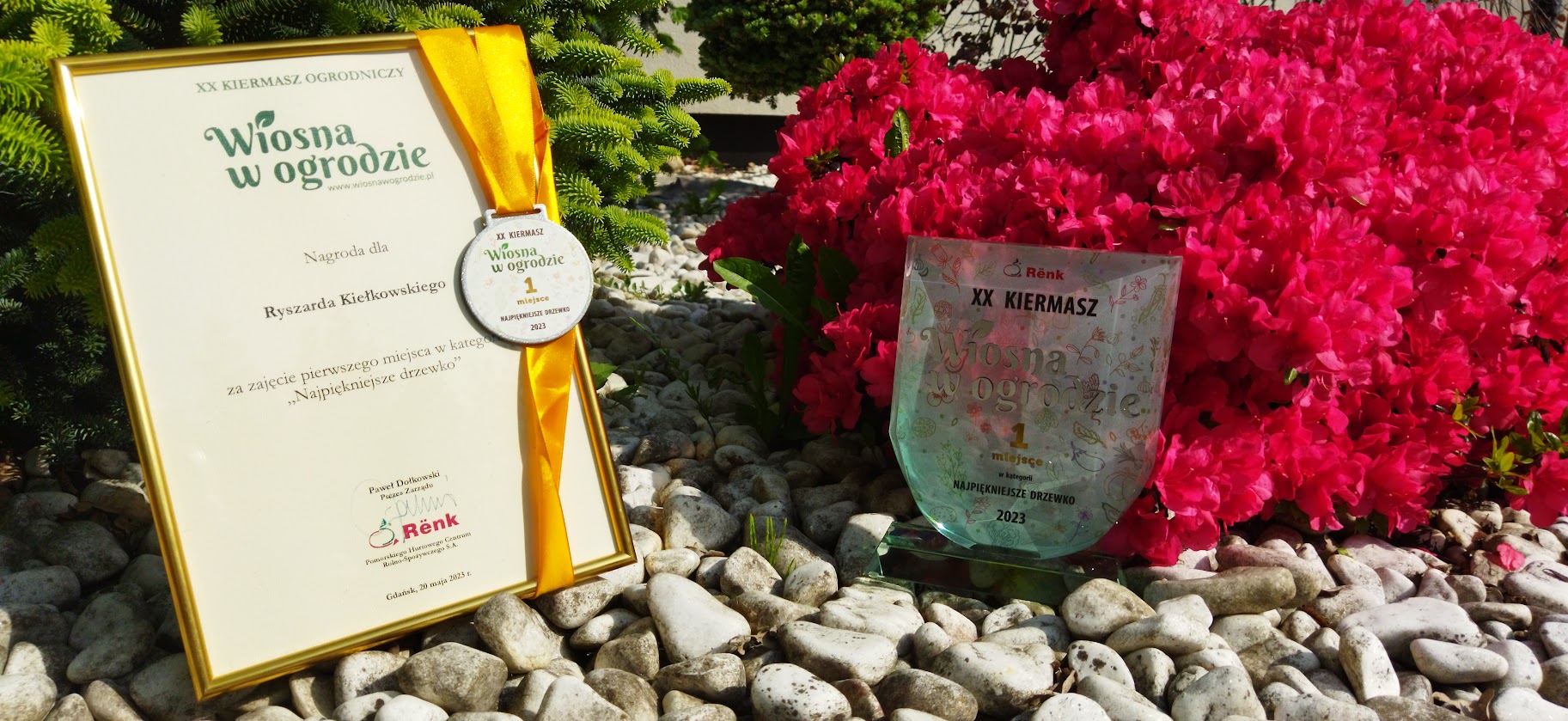1 miejsce na najpiękniejsze drzewko ogrodowe