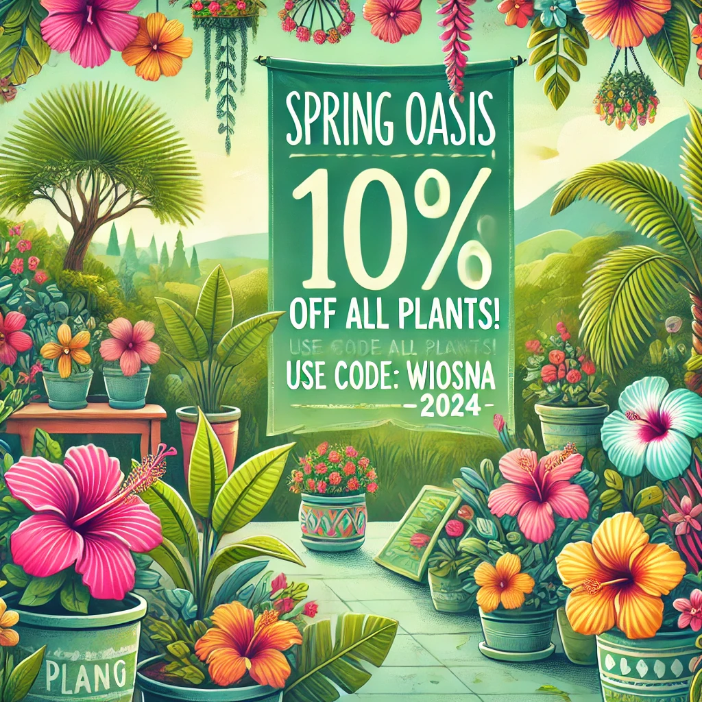 Wiosna 2024 Wiosna 2024