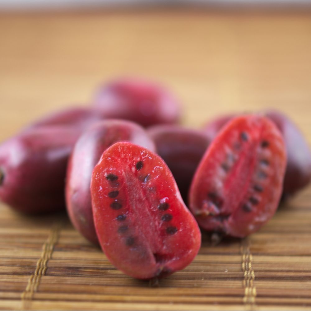 Aktinidia purpurowa Hardy Red - MINI KIWI, CZERWONE OWOCE!!! - Actinidia purpurea Hardy Red -  ŻEŃSKA