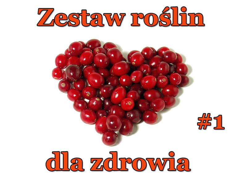 Zestaw roślin dla Zdrowia  (mix 1) - Zestaw roślin