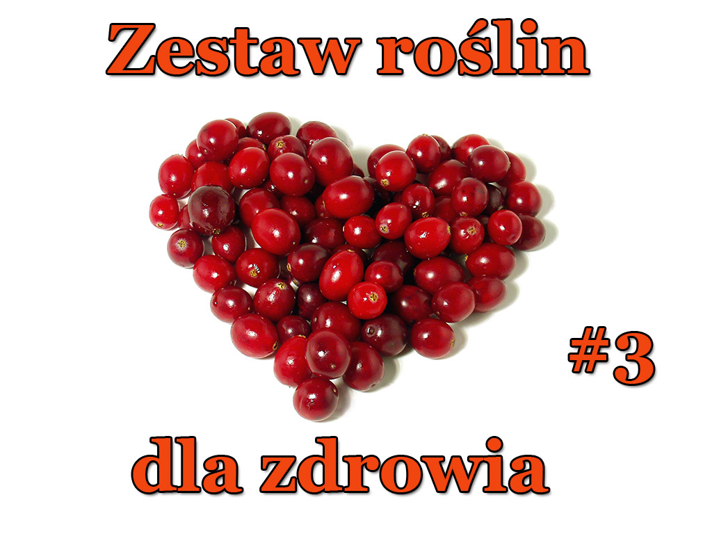 Zestaw roślin dla Zdrowia  (mix 3) - Zestaw roślin