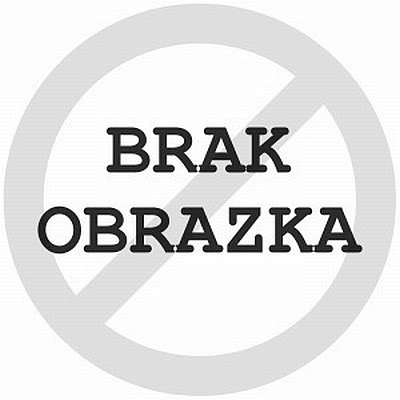 Cytron Reka Buddy duże drzewko 50cm - Citrus Medica Digitata